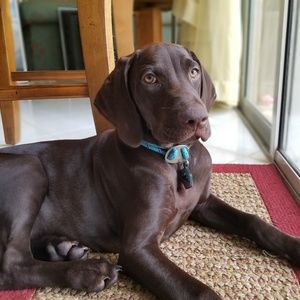 Meet your Posher, Marielena